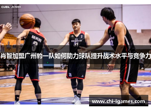 肖智加盟广州豹一队如何助力球队提升战术水平与竞争力