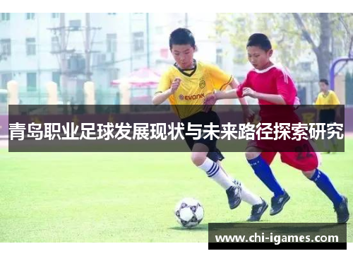 青岛职业足球发展现状与未来路径探索研究