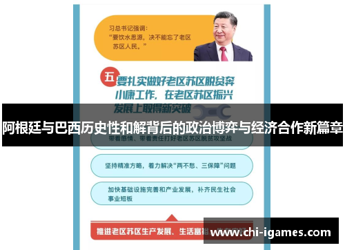 阿根廷与巴西历史性和解背后的政治博弈与经济合作新篇章