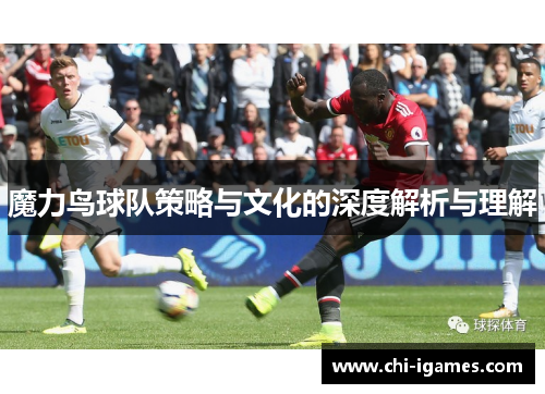 魔力鸟球队策略与文化的深度解析与理解