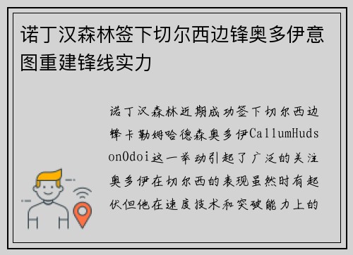 诺丁汉森林签下切尔西边锋奥多伊意图重建锋线实力